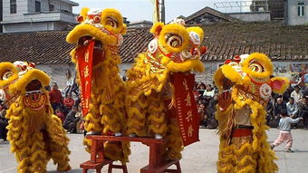 文藝表演 福興隆龍獅團(tuán) 龍獅團(tuán),廣東慶典策劃,廣東文藝表演,廣東禮儀公司,廣州文藝表演,廣州慶典策劃,廣州禮儀公司